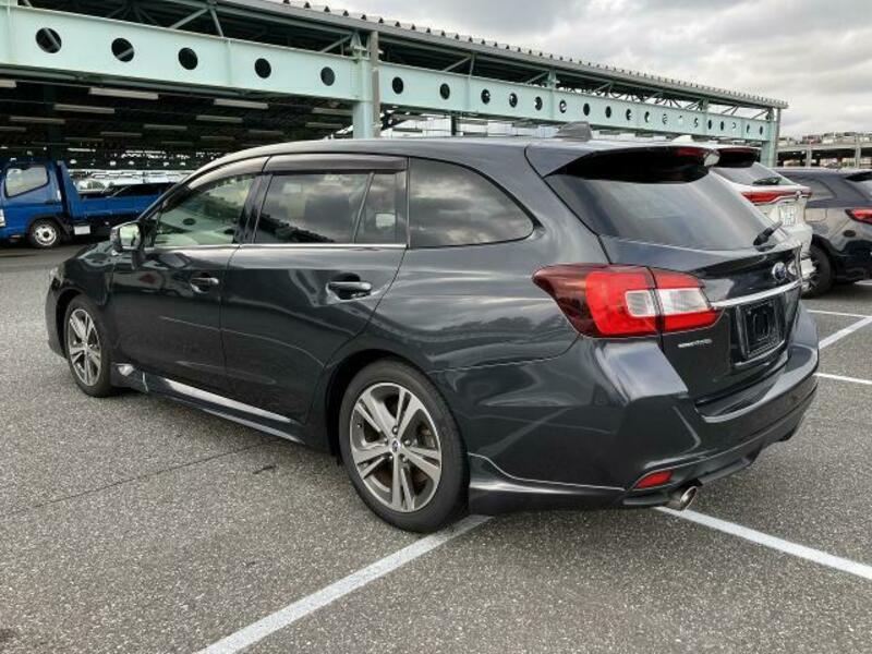 LEVORG