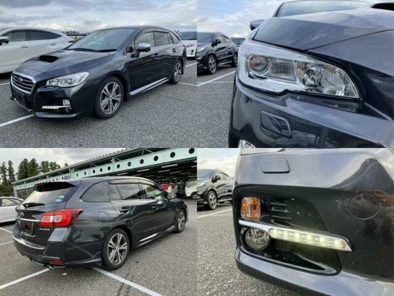 LEVORG
