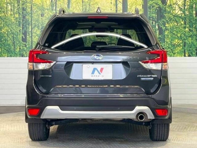 FORESTER