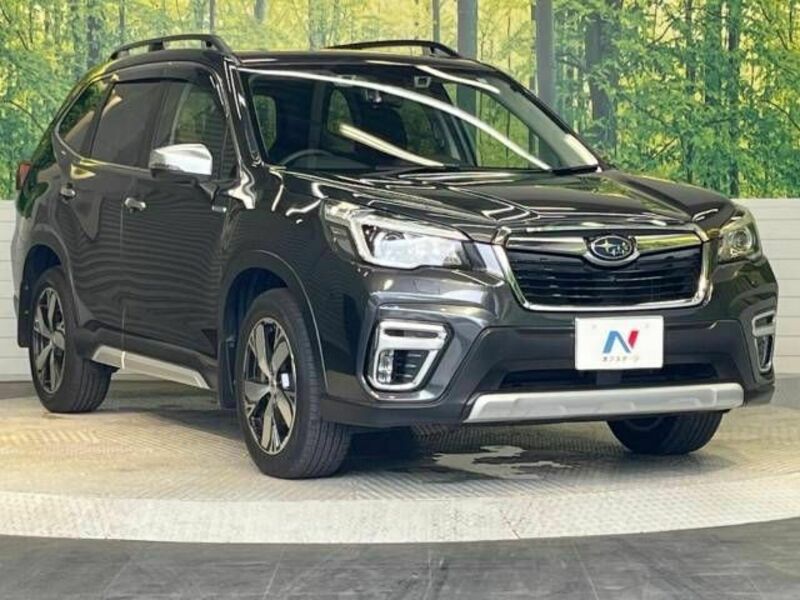 FORESTER