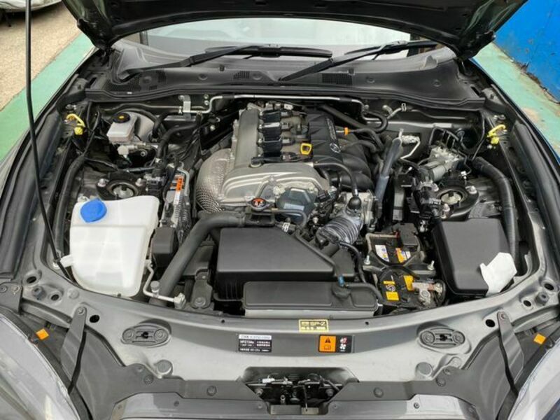 ROADSTER RF
