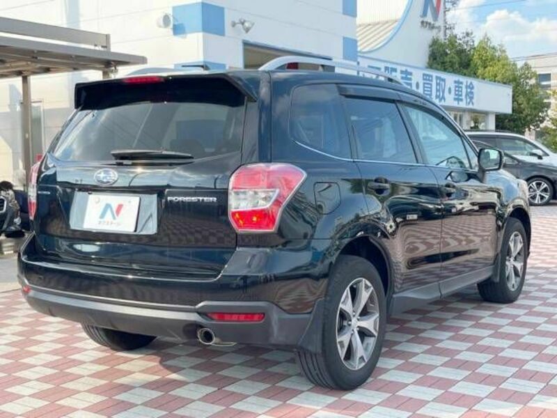 FORESTER