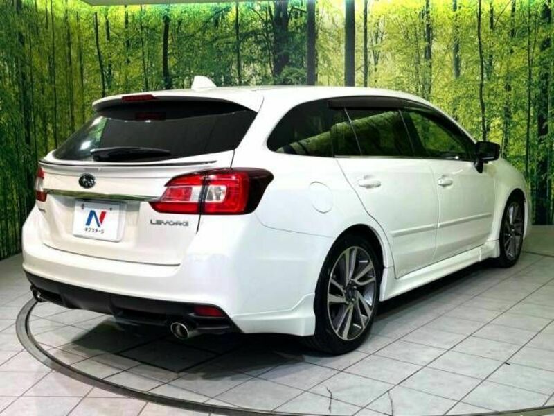 LEVORG