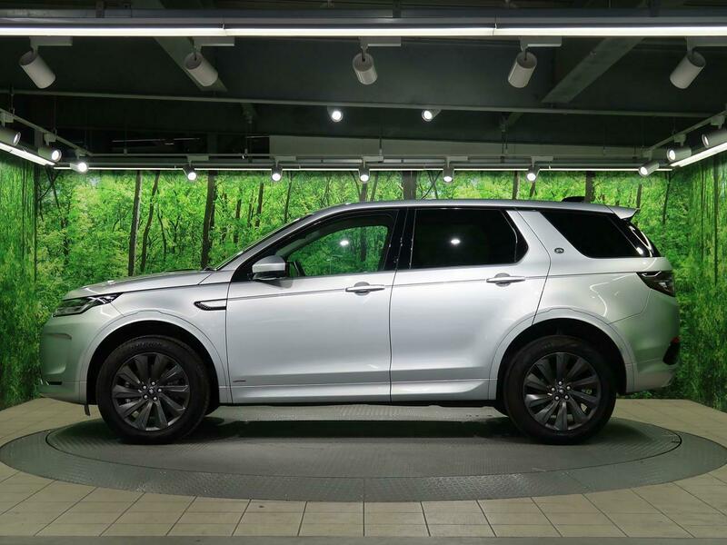 DISCOVERY SPORT-52