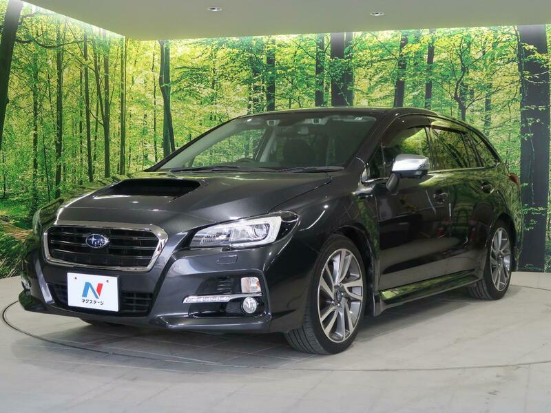 LEVORG-31