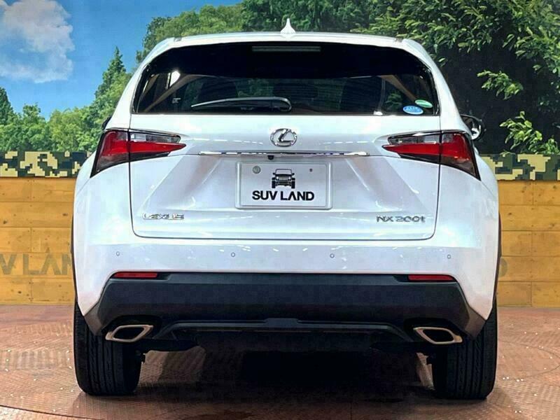 NX