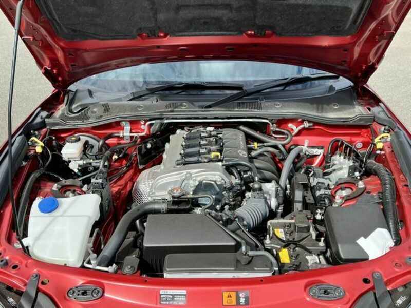 ROADSTER