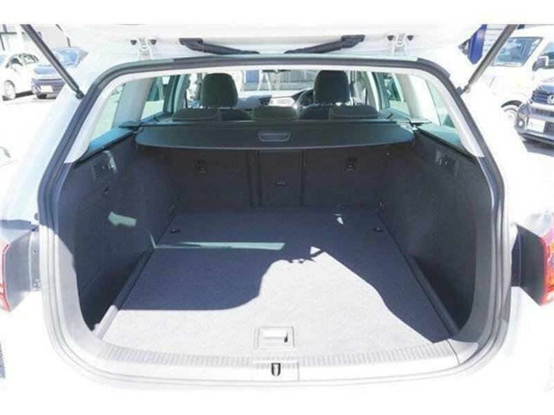 GOLF VARIANT
