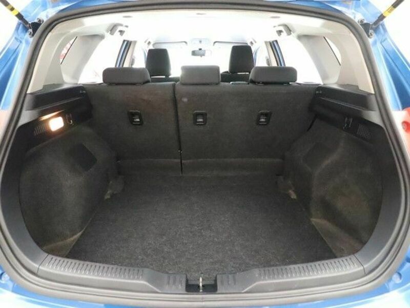 AURIS