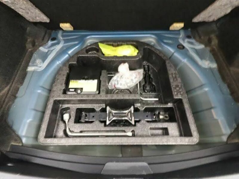 AURIS