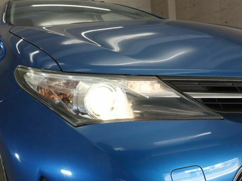 AURIS