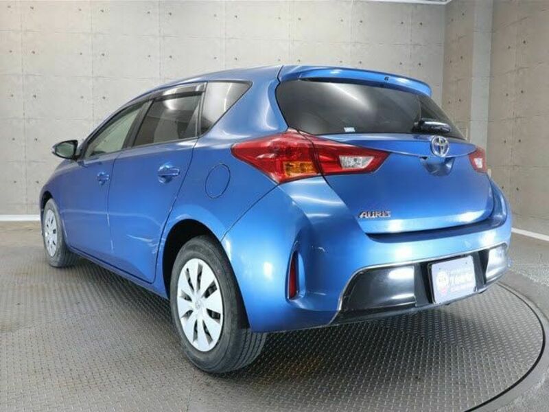AURIS