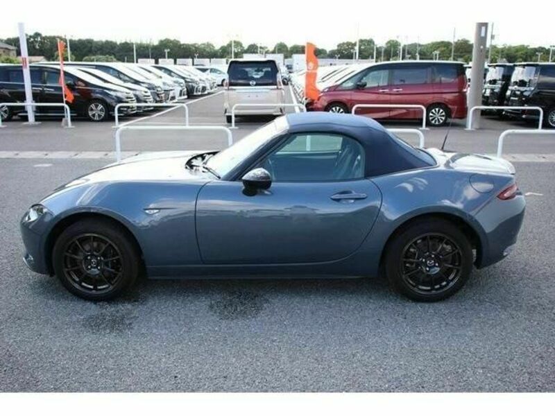 ROADSTER