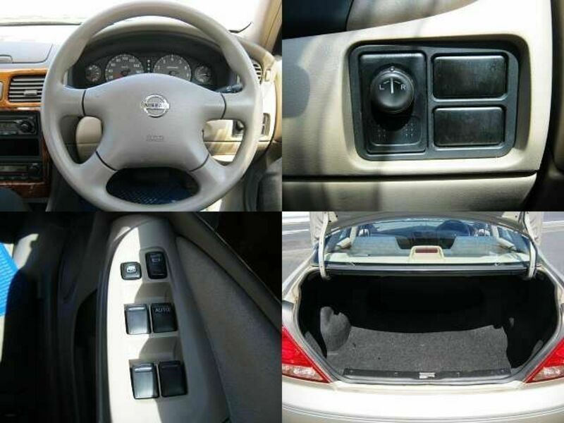 BLUEBIRD SYLPHY