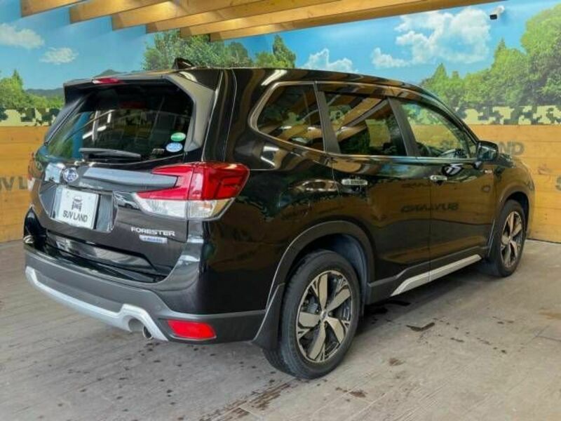 FORESTER