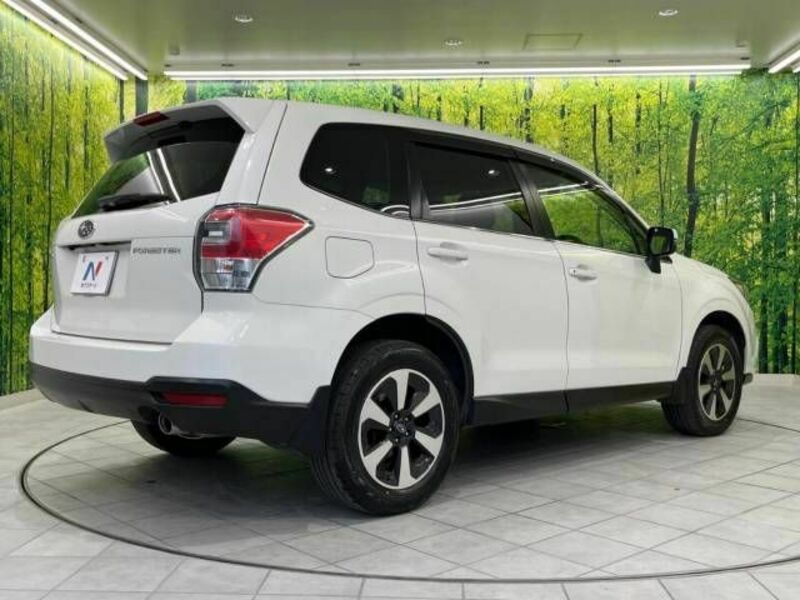 FORESTER