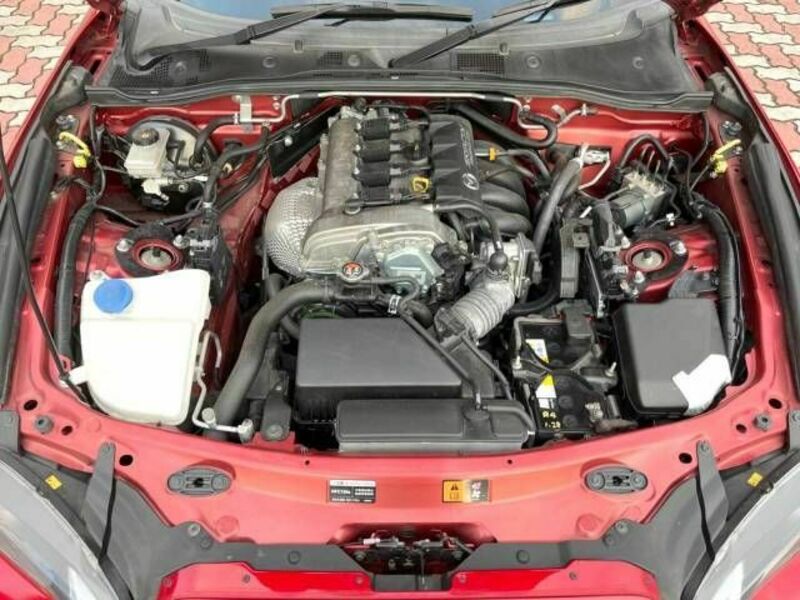 ROADSTER
