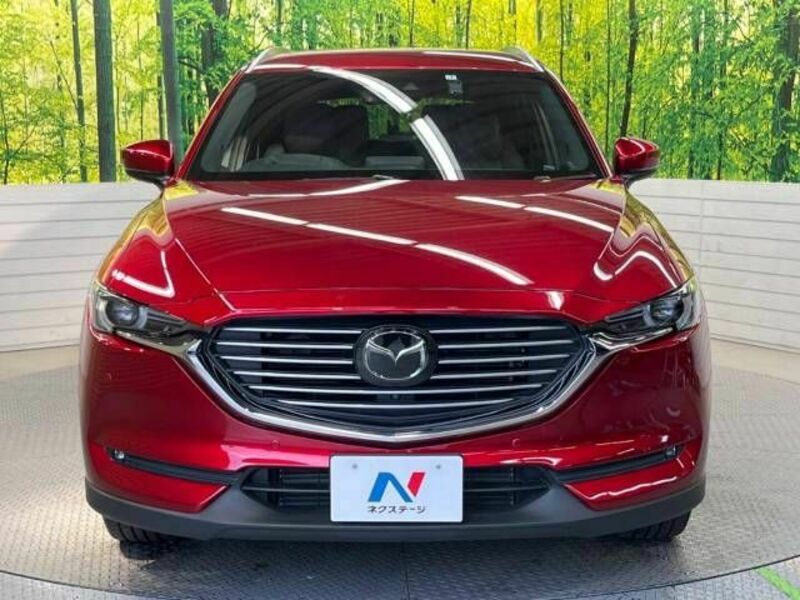 CX-8