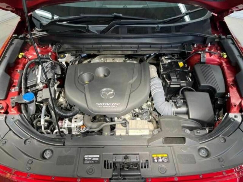 CX-8
