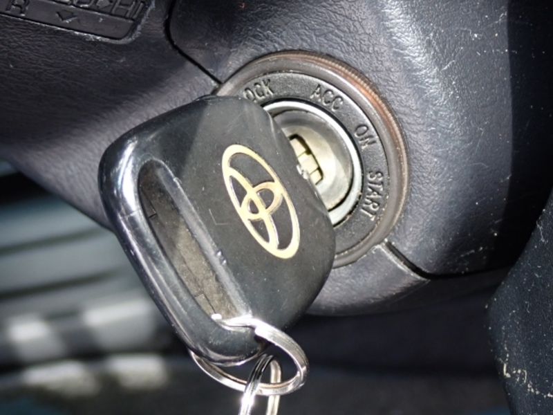 KLUGER V