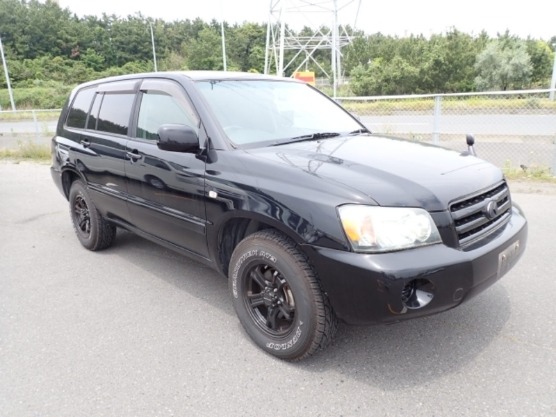 KLUGER V