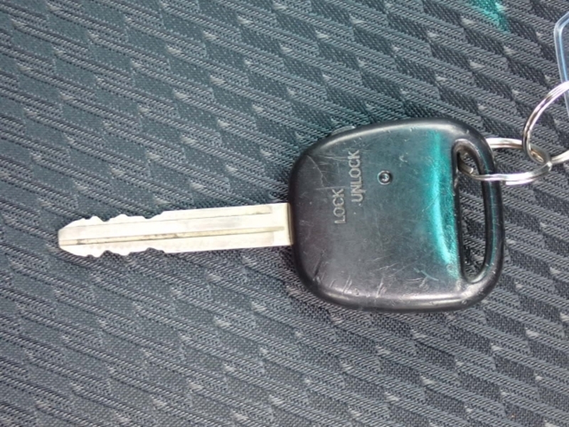 KLUGER V