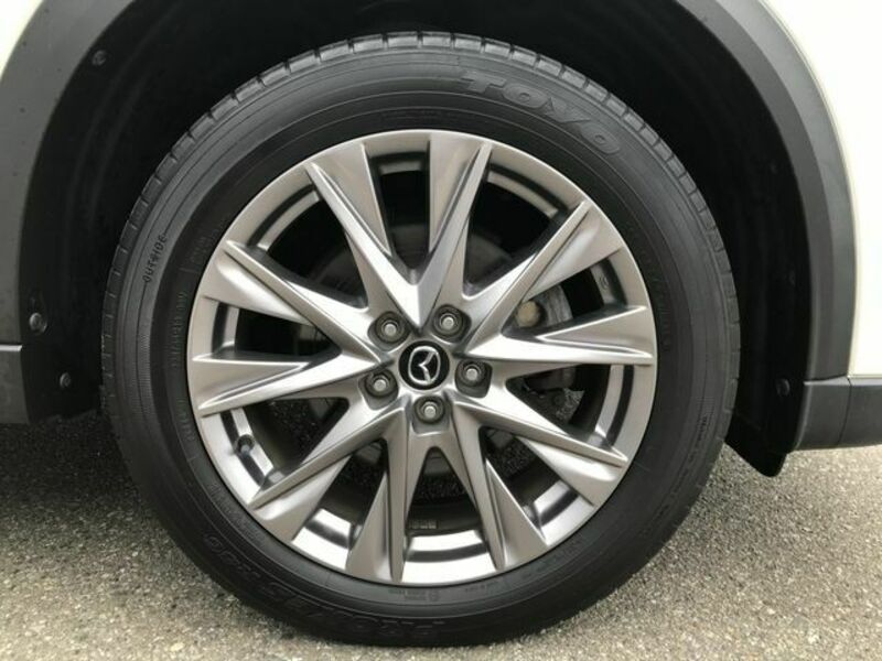 CX-8