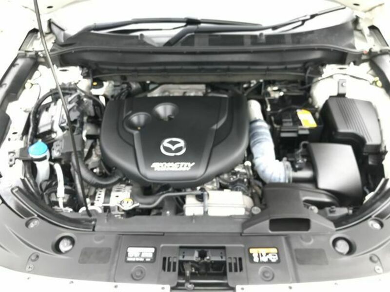 CX-8