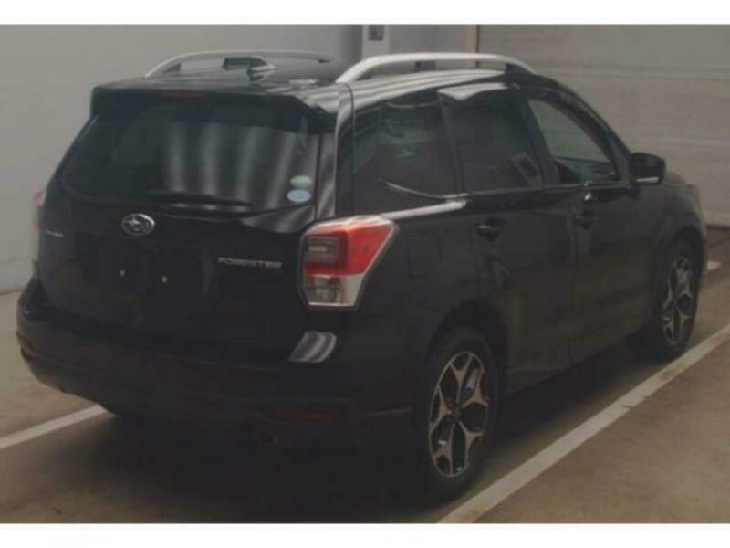 FORESTER