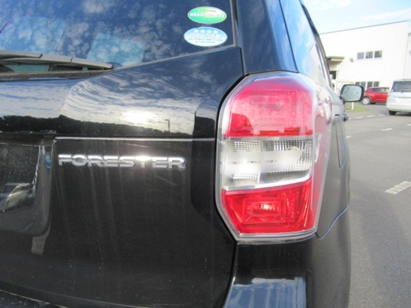 FORESTER