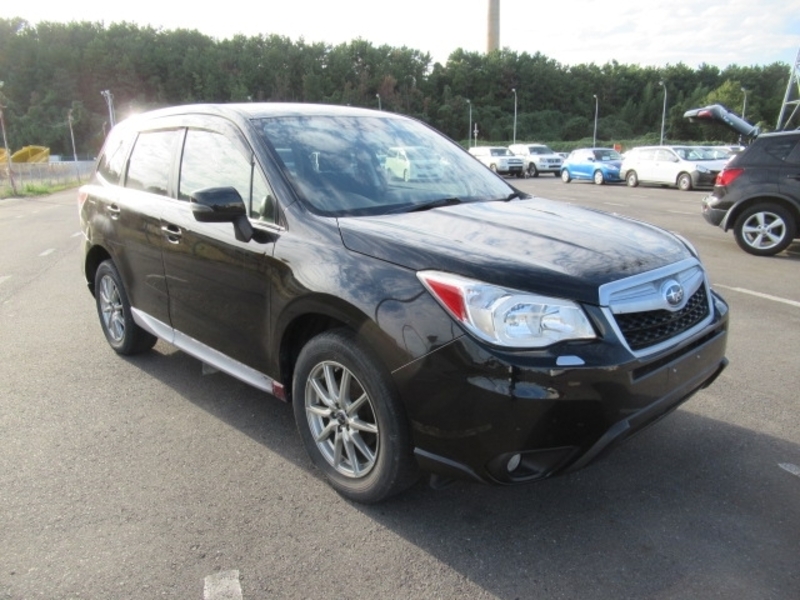 FORESTER