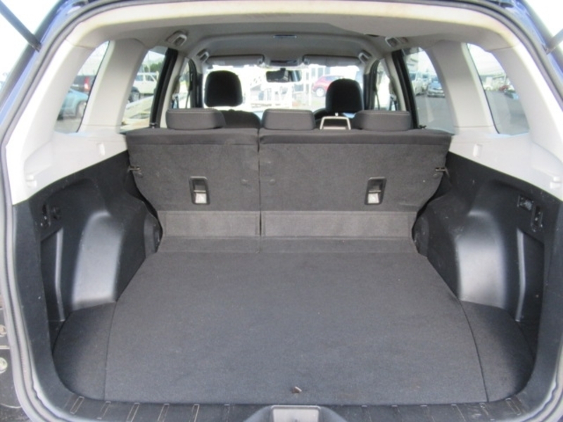 FORESTER