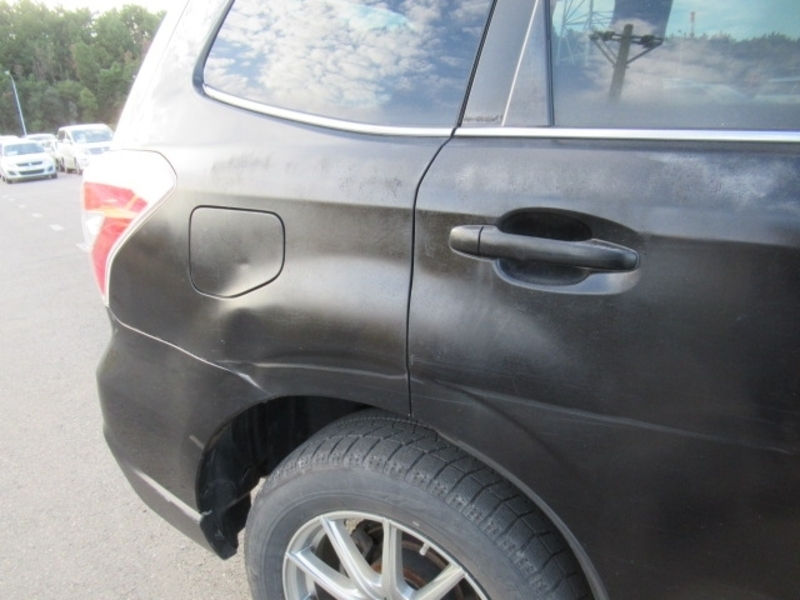 FORESTER