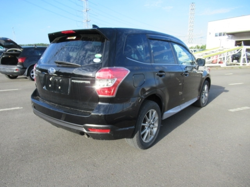 FORESTER