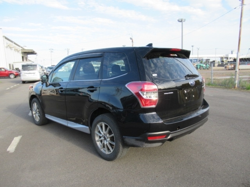 FORESTER