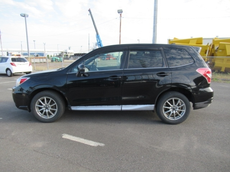 FORESTER