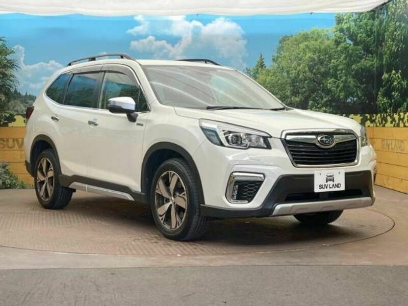 FORESTER