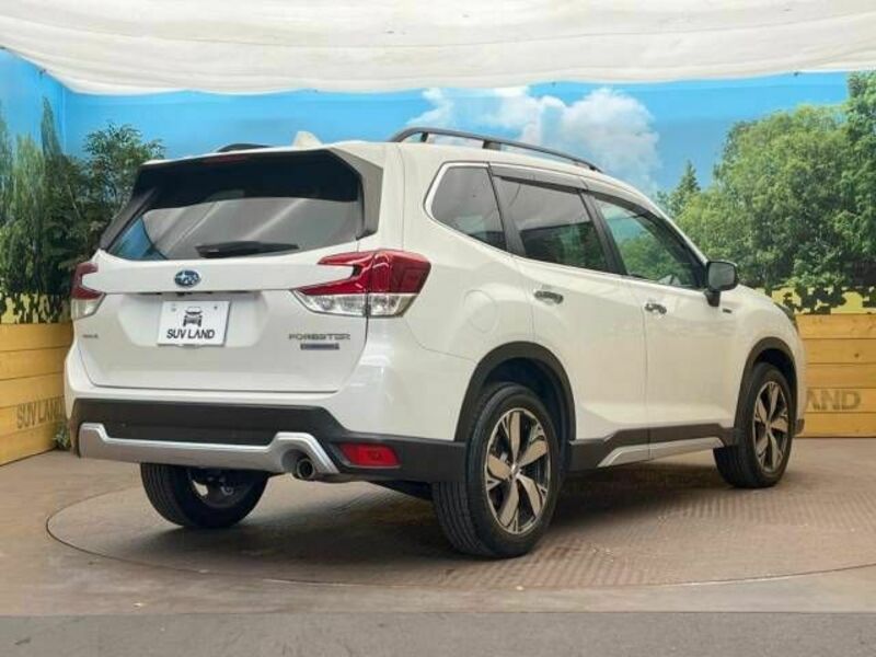 FORESTER