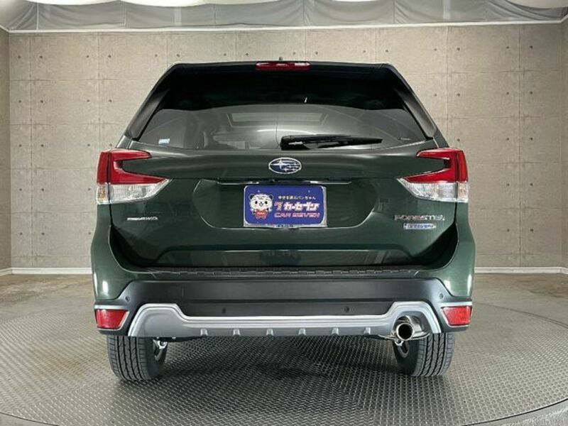 FORESTER