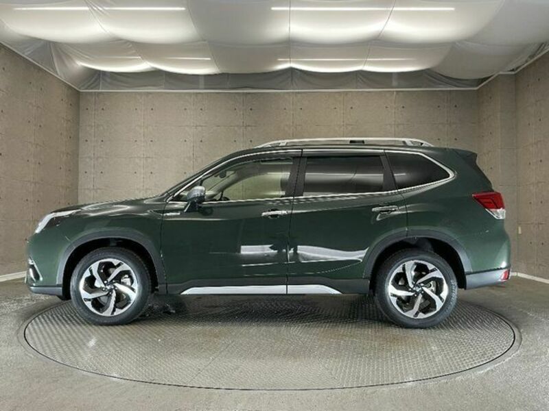 FORESTER