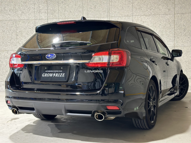 LEVORG