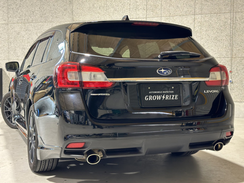 LEVORG