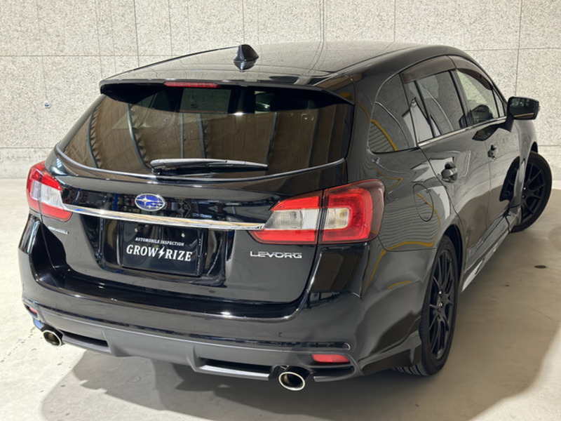 LEVORG