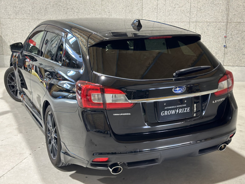 LEVORG