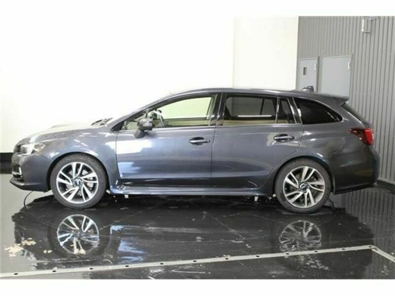 LEVORG