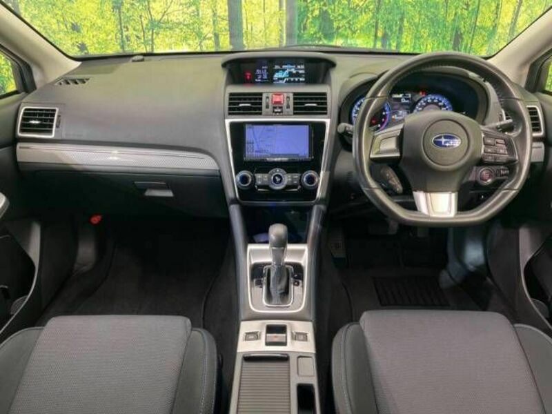 LEVORG