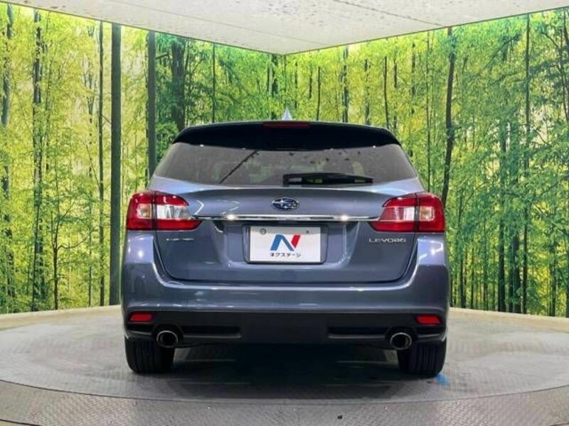 LEVORG