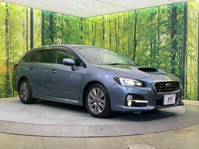 LEVORG