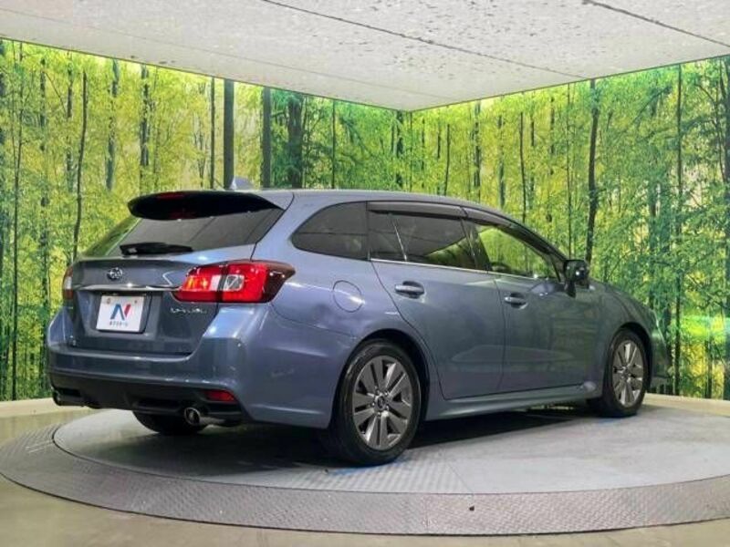 LEVORG