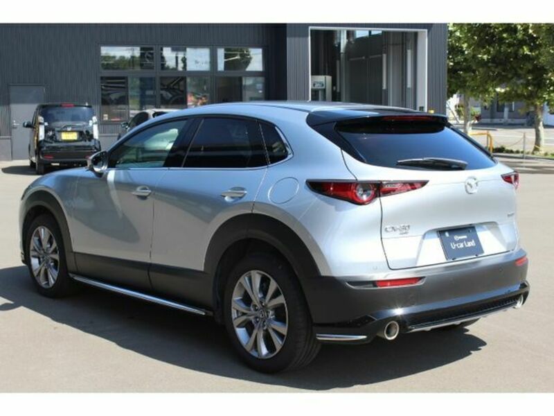 CX-30